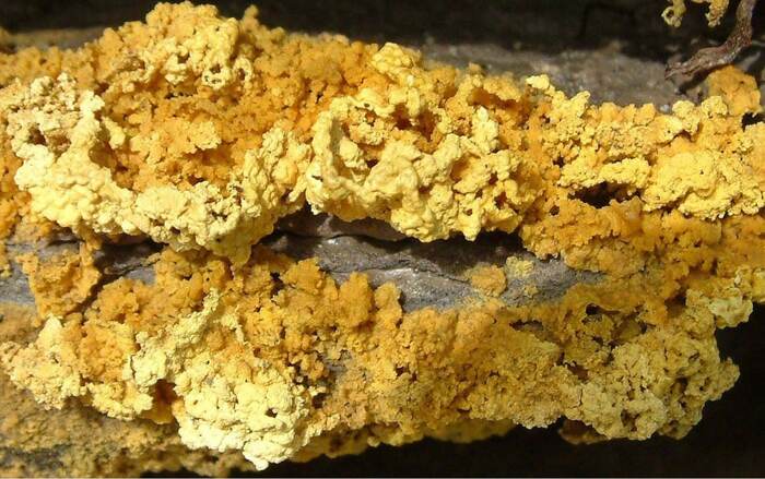 Во льдах Антарктиды найден минерал с поверхности Марса