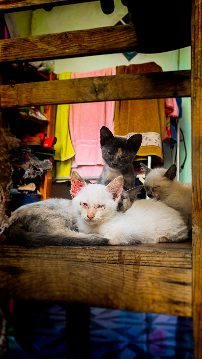 Ребята с вашего двора