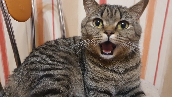 ����! ���?