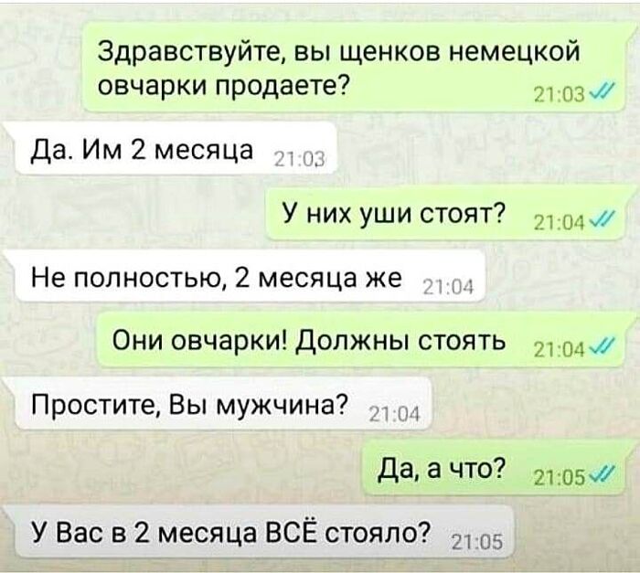 Реальная переписка или анекдот?
