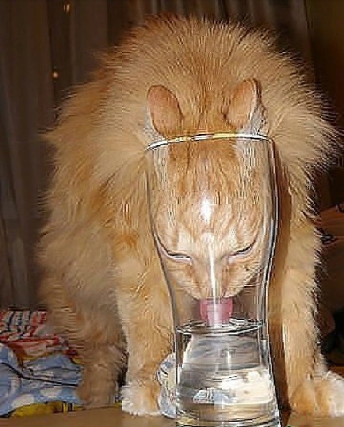 Напоминание!