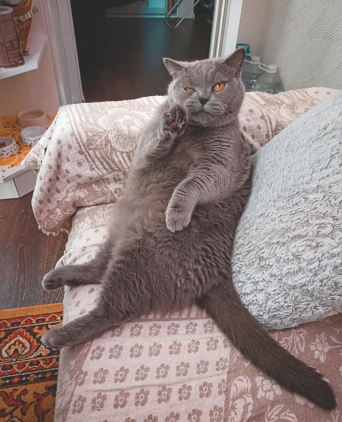", "