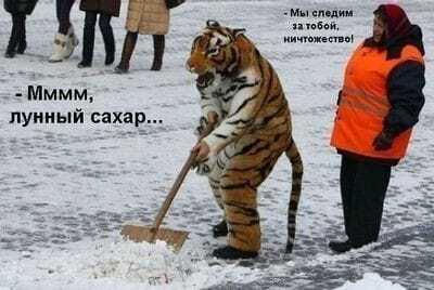 ������ � ����� �������� �� ����: