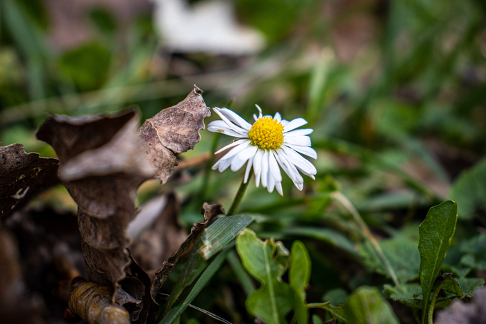Сербская зима