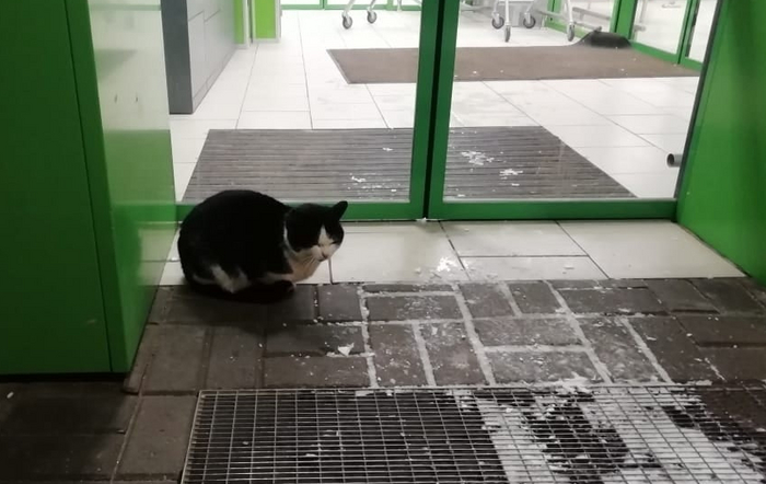 ����������� ����� ��������, ��������� �������. ����� ���� � ��������� ������� ����� �������� � ������� ����� ����� ��� � �������� �������