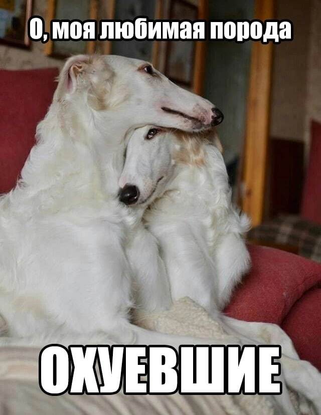  ,   , , ,  , 