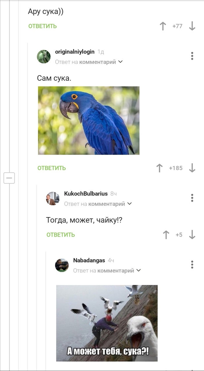 Пернатые под прикрытием