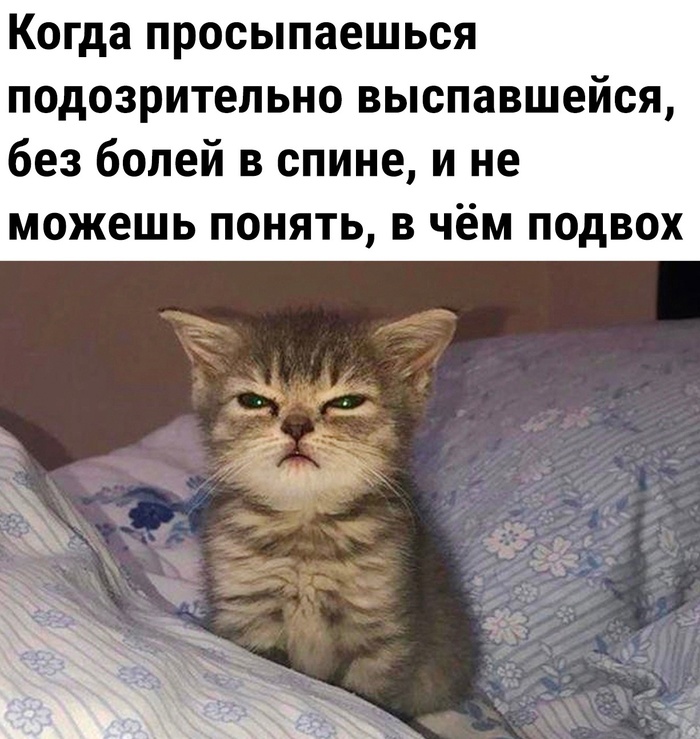      ,   , , , , 