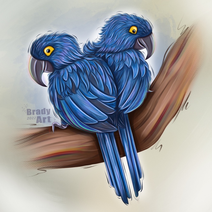  , Procreate, , , , , 