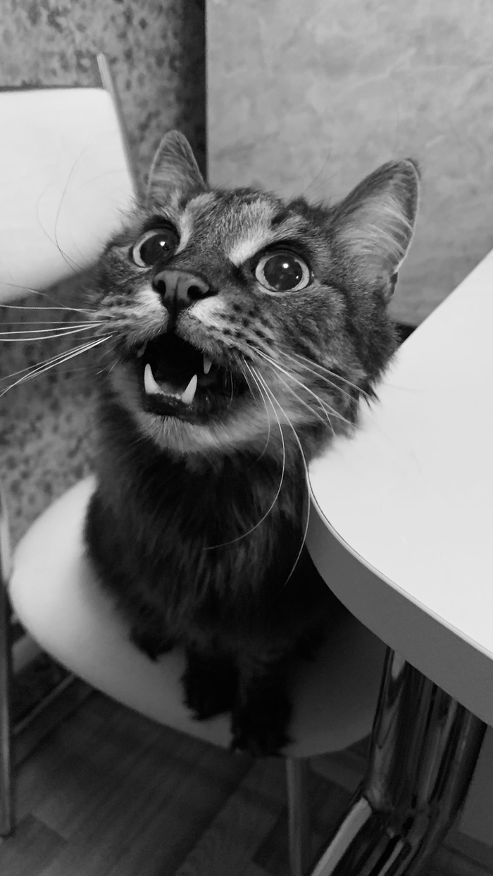 ������� �������?! �� ��������? �� ��� �� ��������