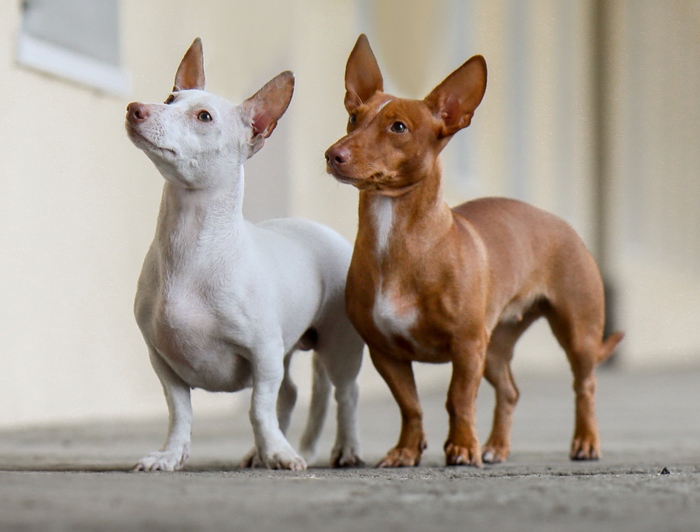Ева и Тайна. Петербург, осень 2022