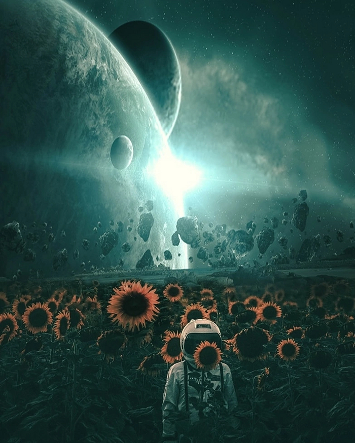  :  , ,  ,  , , 