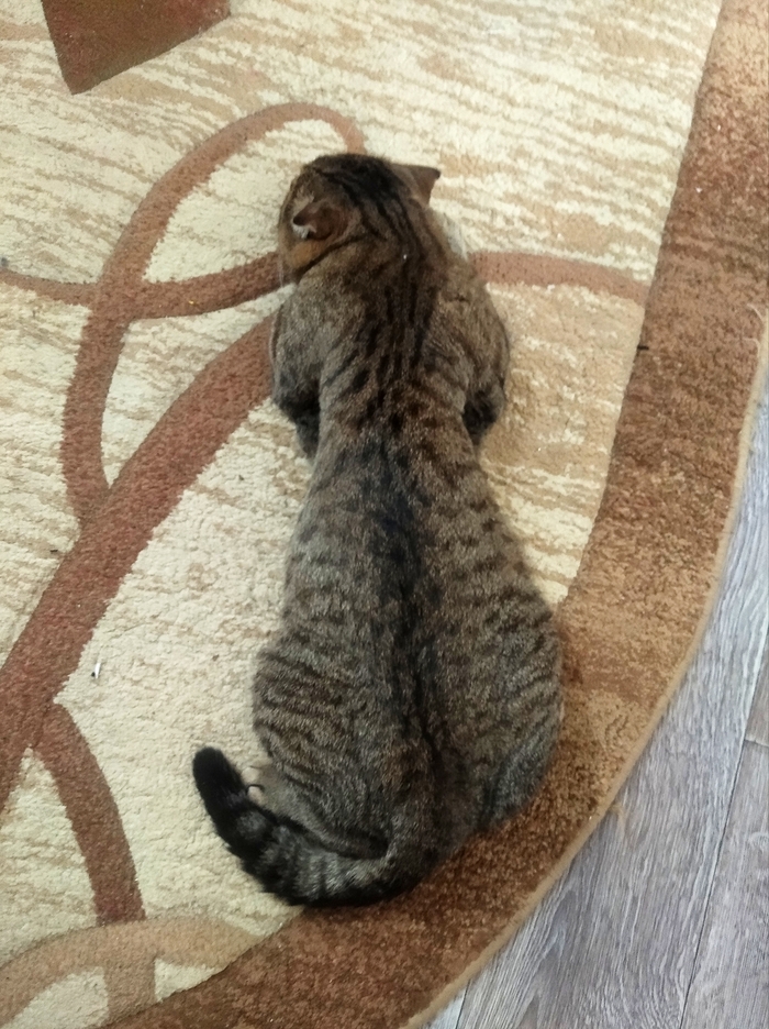 Немного растёкся