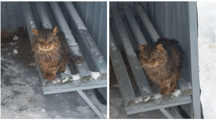 �������������. ��� �����? ���, �����, ���-�� ������� ����� ������ ����� ��� �� ���������� �� ����� ���?