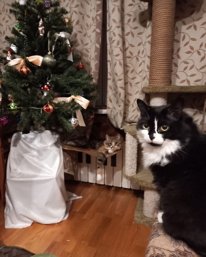 ��� ����� ����������� ���� � ����������� ����� �����. ��������, �����, � ��� ����� ���������� ������!