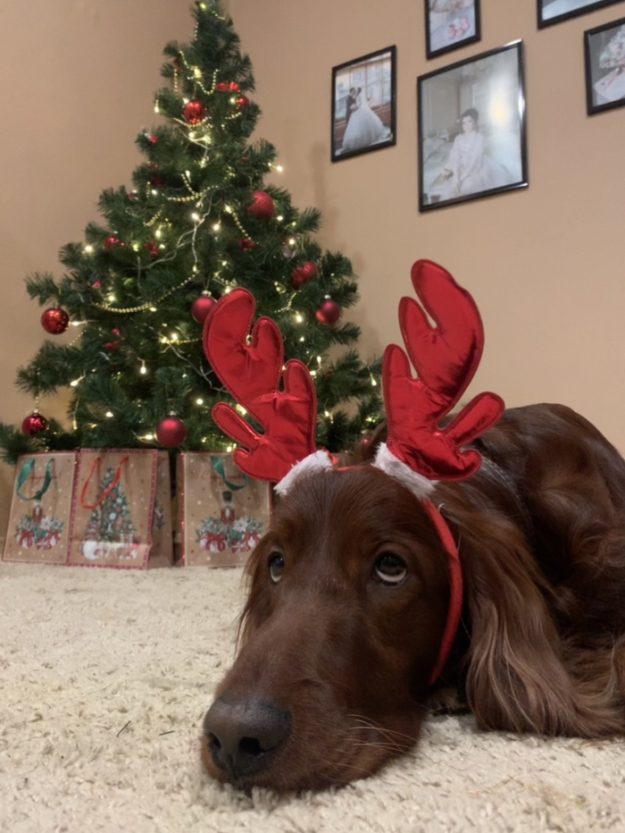 ���� � ���������� 2022 ����!