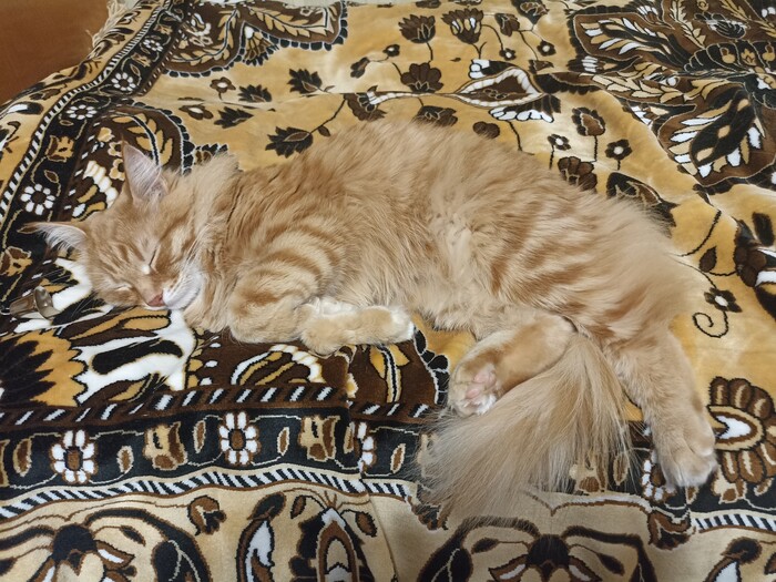 ����� �� ���� ������ ���� ������ �����