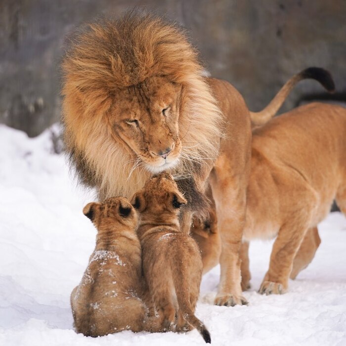 Она первая начала