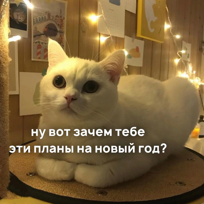  ,   ,  ,   