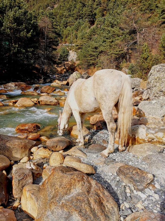 ����� ����� ������ �� �����)�