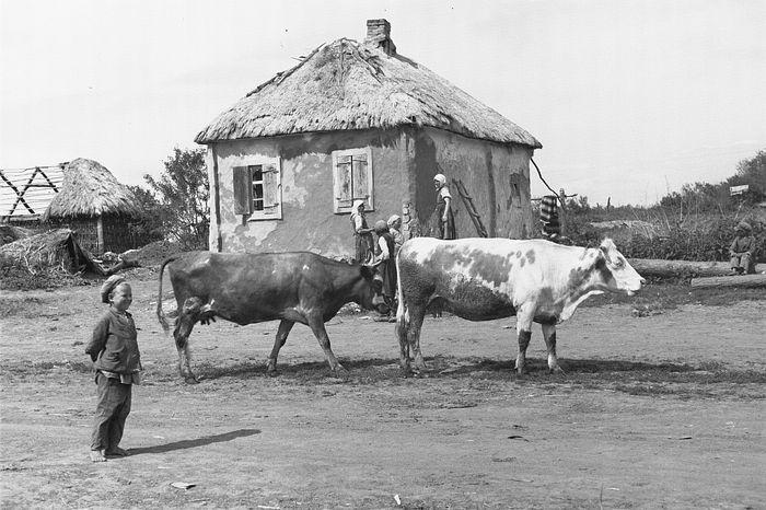 100 лет Советскому Союзу. Итак, дожили до юбилея... СССР, Ленин, Сталин, Коммунизм, Длиннопост