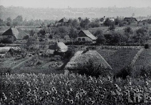 100 лет Советскому Союзу. Итак, дожили до юбилея... СССР, Ленин, Сталин, Коммунизм, Длиннопост