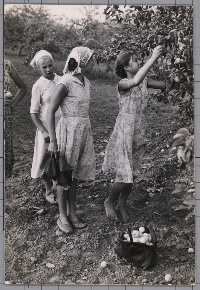 100 лет Советскому Союзу. Итак, дожили до юбилея... СССР, Ленин, Сталин, Коммунизм, Длиннопост