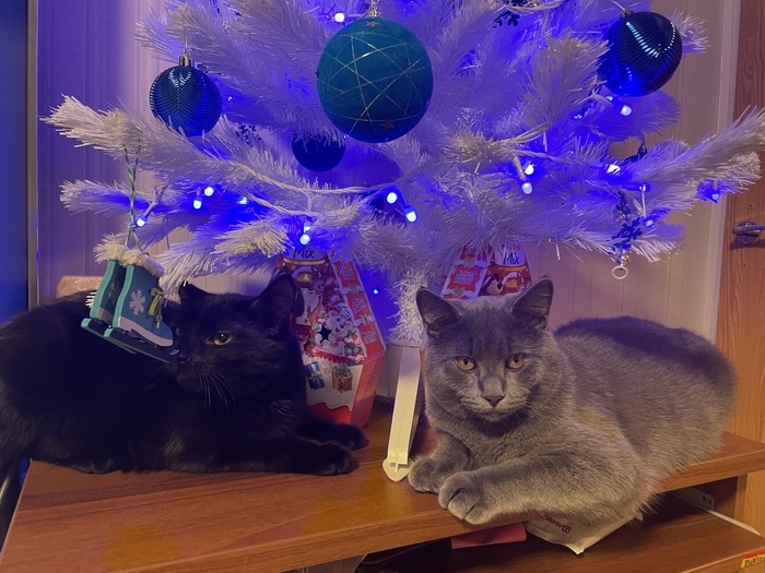 ���� � �����������!