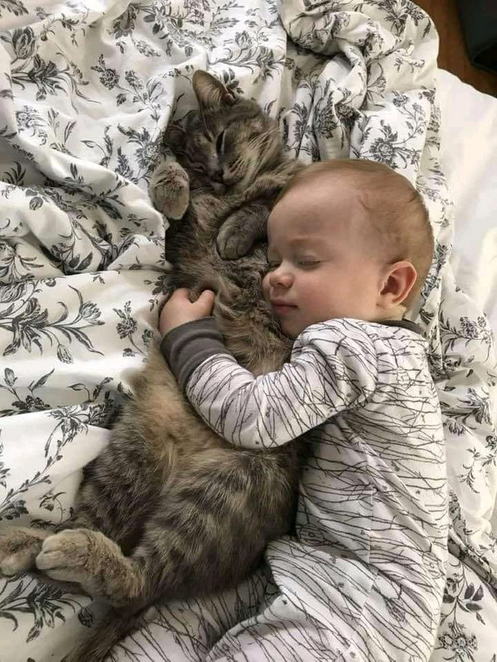 ��������� �������