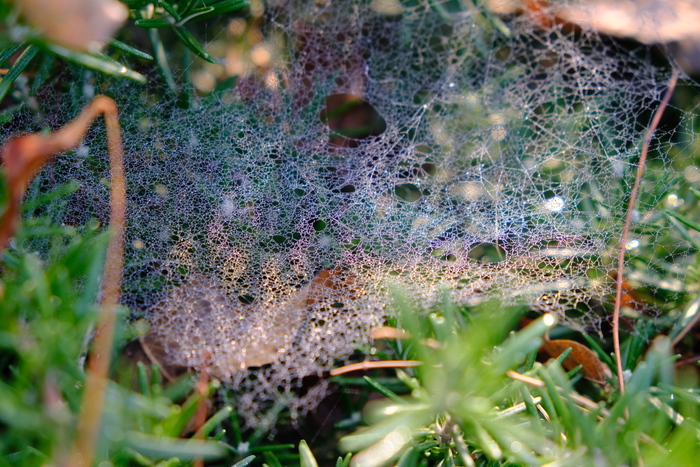 �������� �������