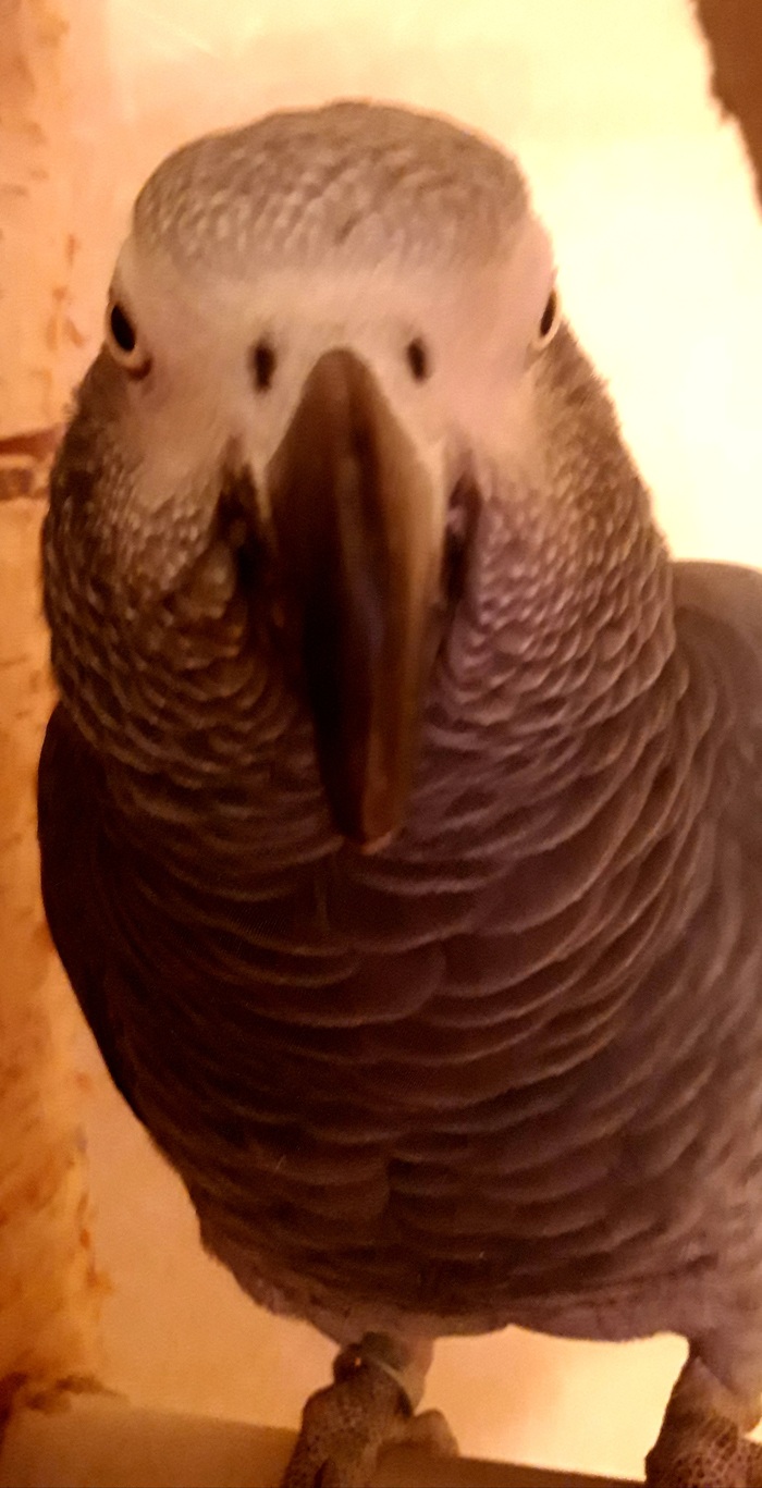   ? 1 , , 