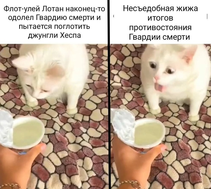 Это уже слишком