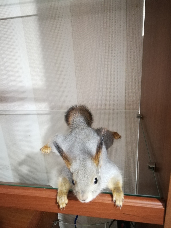 ����� ����