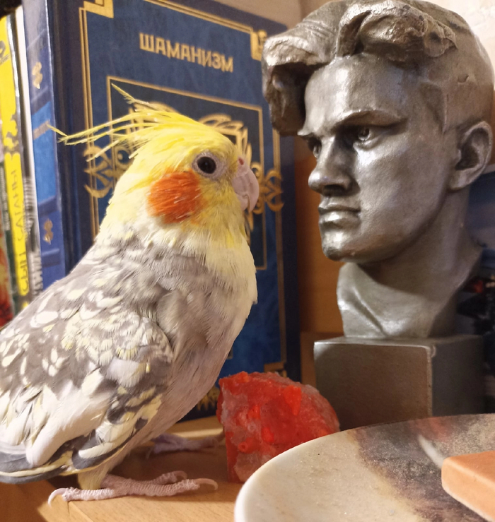 А как вы относитесь к шаманизму, Владимир Владимирович?