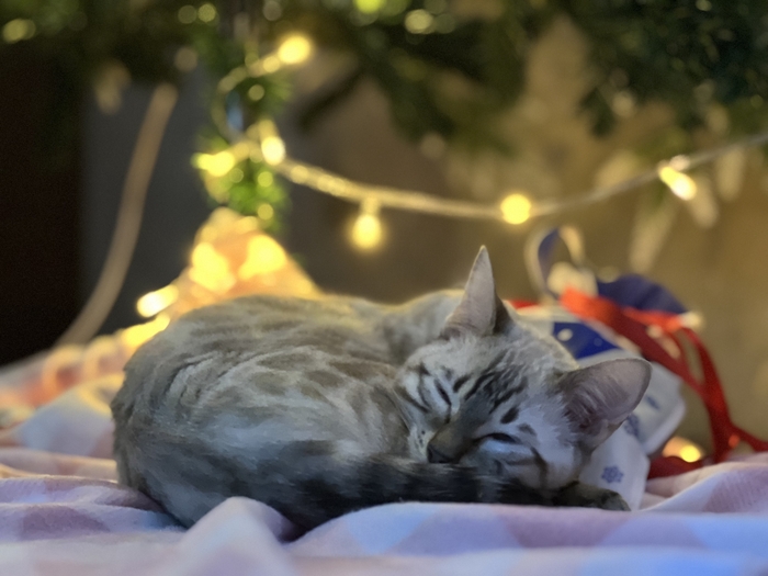 ���������� �����:3