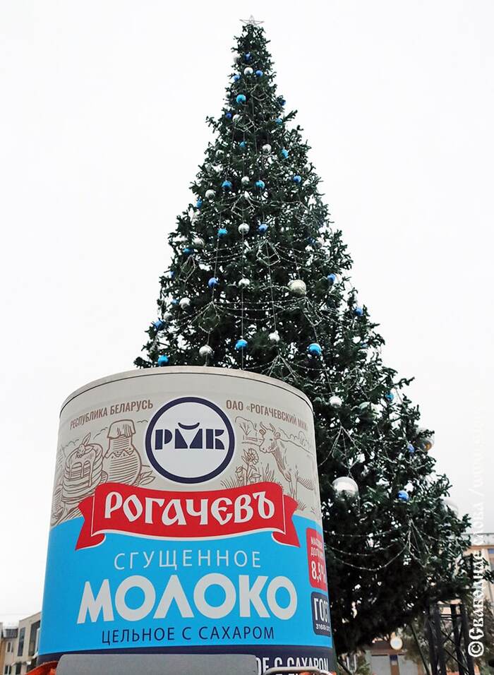 Рогачевский молочный комбинат выпустил банку сгущенки объемом в 485,5 килограмма