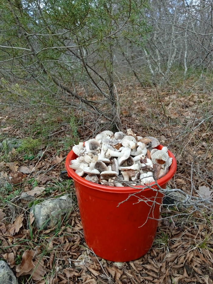 ������ 2023. �����������