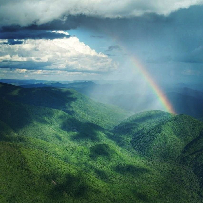 Rainbow , 