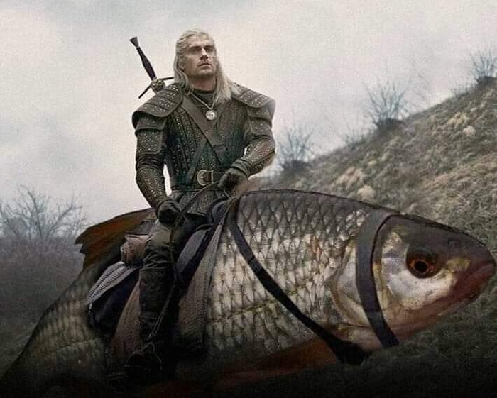 Вперёд плотва