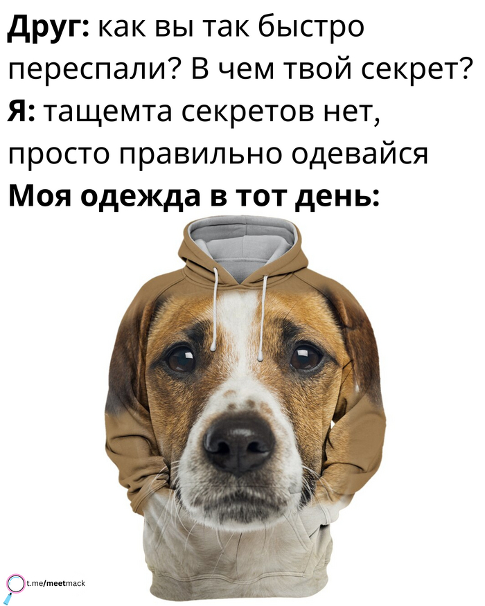 Секрет | Пикабу
