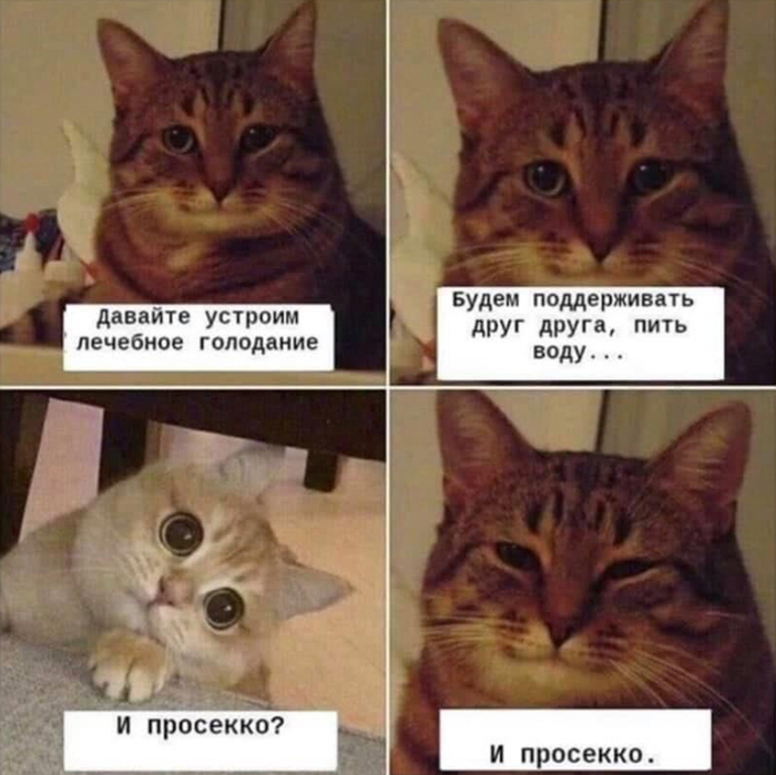 � ��������)