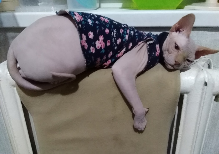 Безудержное новогоднее веселье