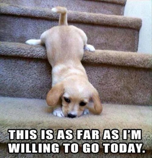     baby steps. ,        baby steps!