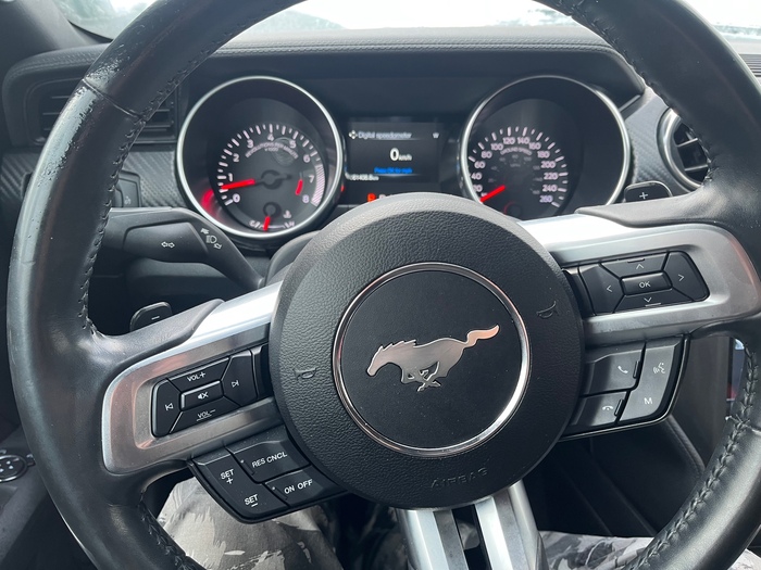  Ford Mustang Ecoboost 2.3   (1 ) , Ford Mustang, , 