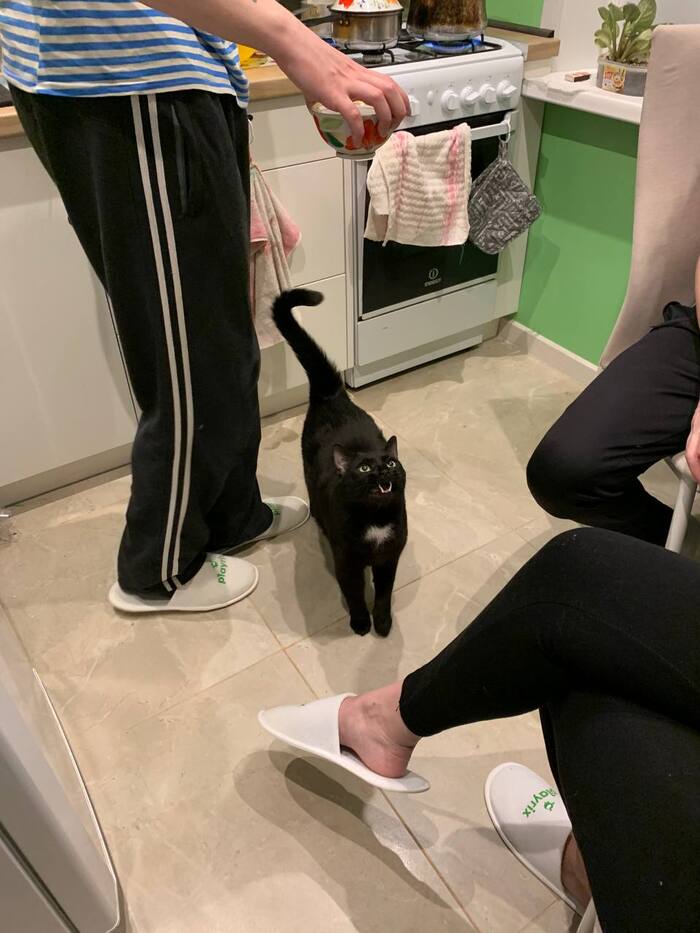 ����� ���� �����