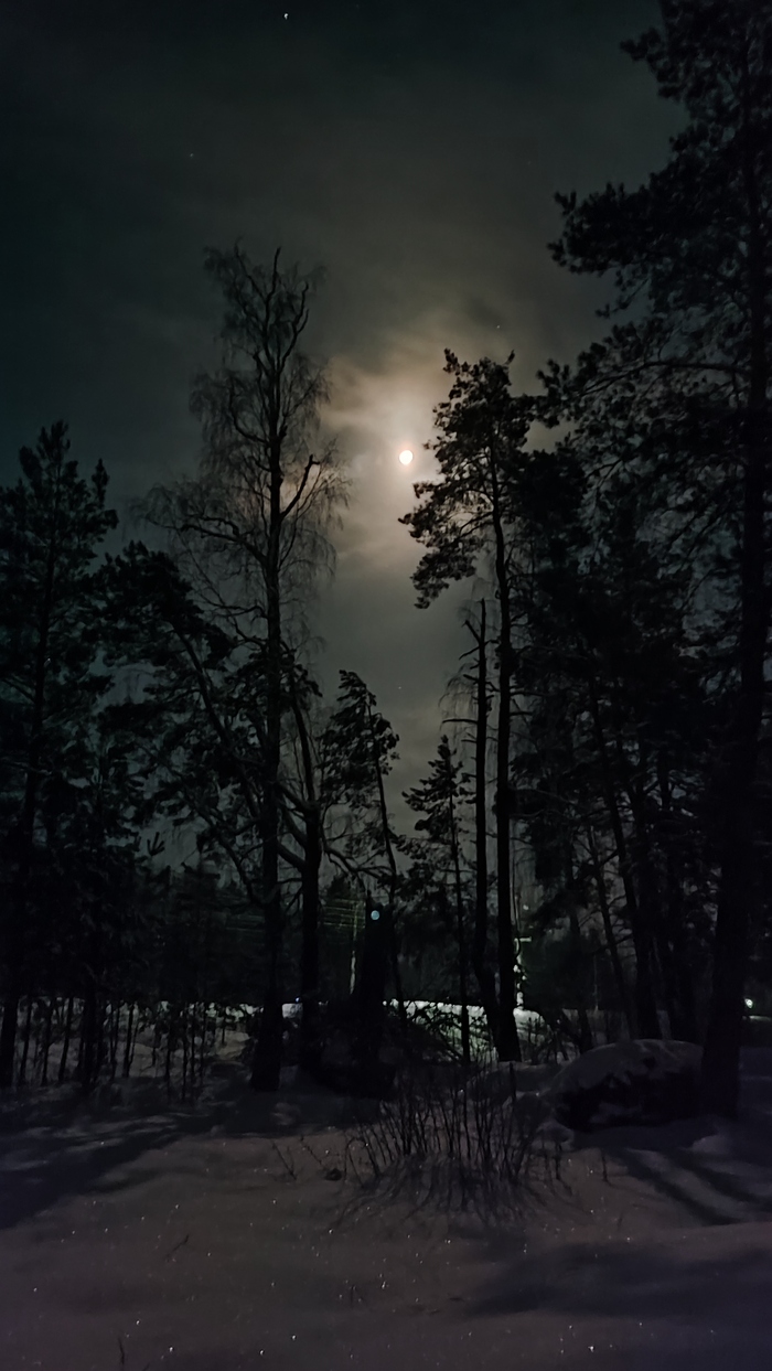 Черт и несравненная Солоха Николай Гоголь, Ночь перед Рождеством, Черт, Мороз, Длиннопост, Мобильная фотография