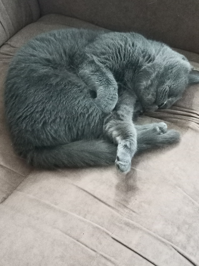 ��� � ������ ����