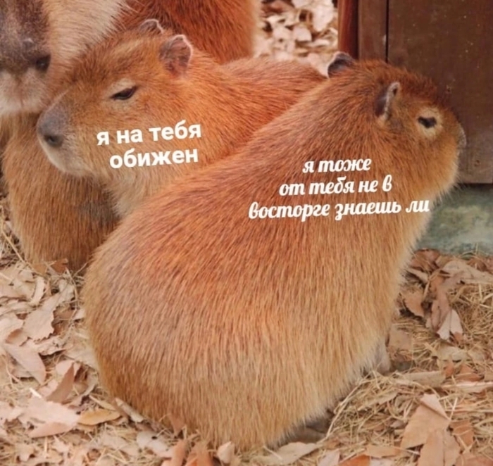 ����� � ��������