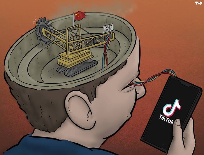 Разве поспоришь? Карл Густав Юнг, Тиктокеры, Психология