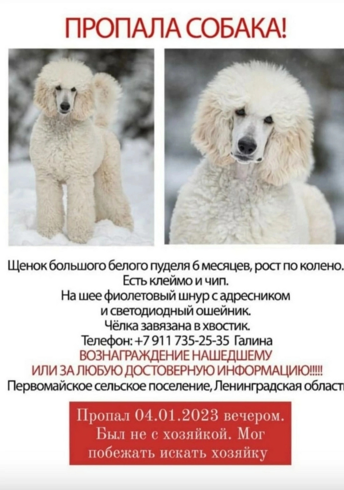 )))))  .  !
